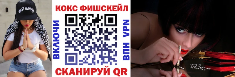 Купить где  Спас-Клепики  COCAIN Fish Scale 