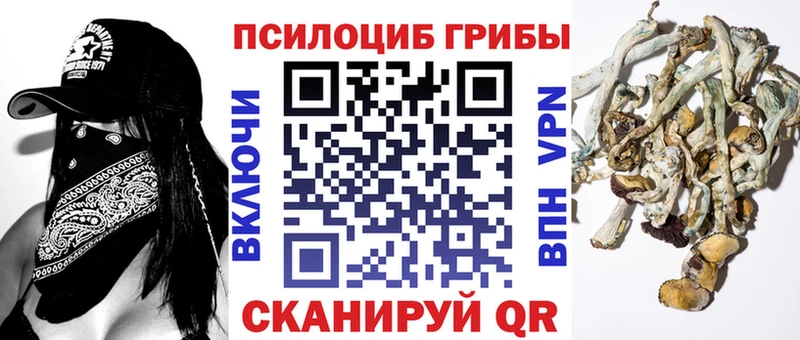 Псилоцибиновые грибы Magic Shrooms Купить где Спас-Клепики